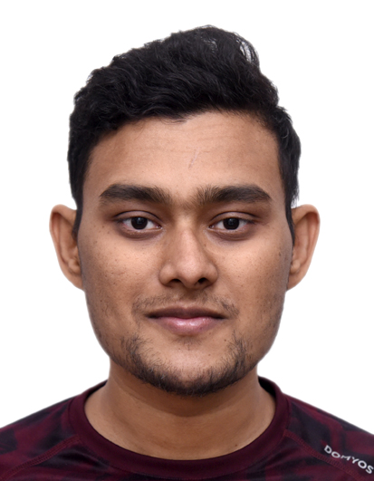 Modeling of soft actuators and sensors, Computational design, Soft robotics