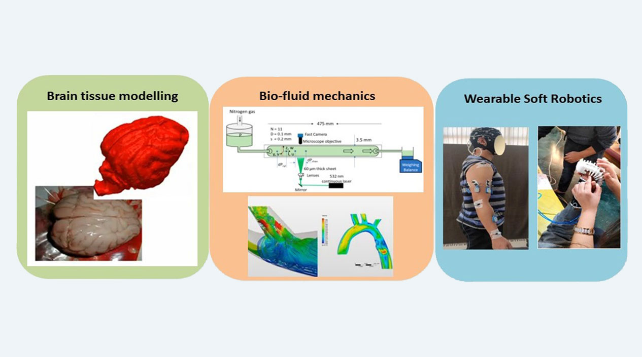 Biomechanics and soft robotics